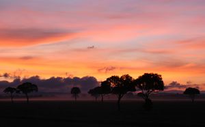 African Landscapes